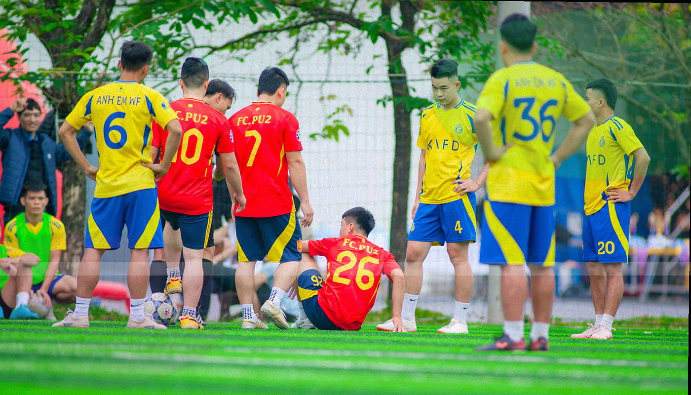 桌面端四档服务方案对比表界面截图，四行档位分别对应可查索引条数、校准频率与帮助台响应时间